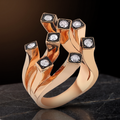 The Citadel Ring
