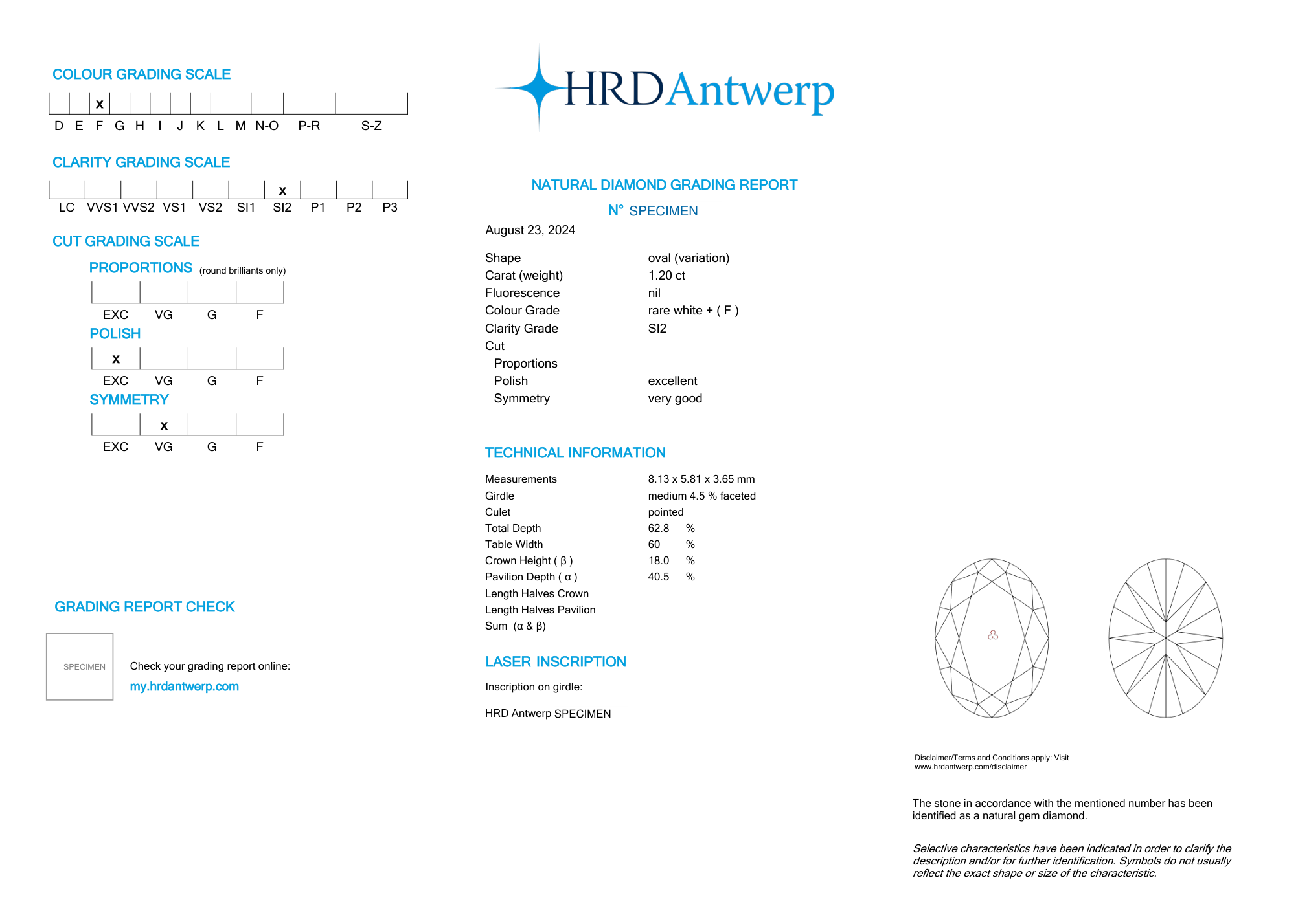 Independent gemological laboratory grading report, shown as an illustrative example with identifying numbers removed